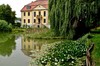 Siebleben - Mönchspark - Siebleber Teich Bild 1